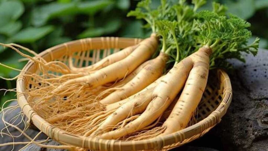 ginseng untuk keperkasaan pria