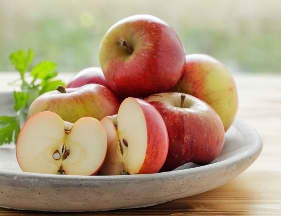 ekstrak apel revit 2 1.jpg